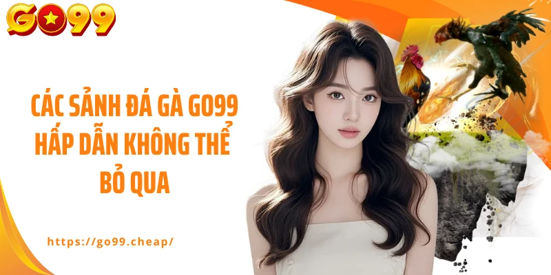 Các sảnh đá gà Go99 hấp dẫn không thể bỏ qua