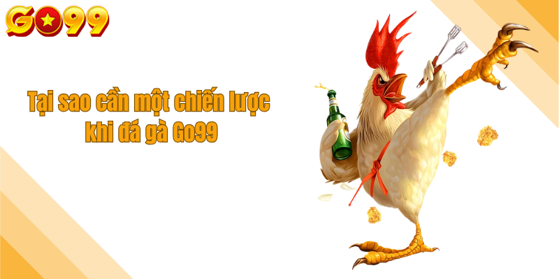 Tại sao cần một chiến lược khi đá gà Go99
